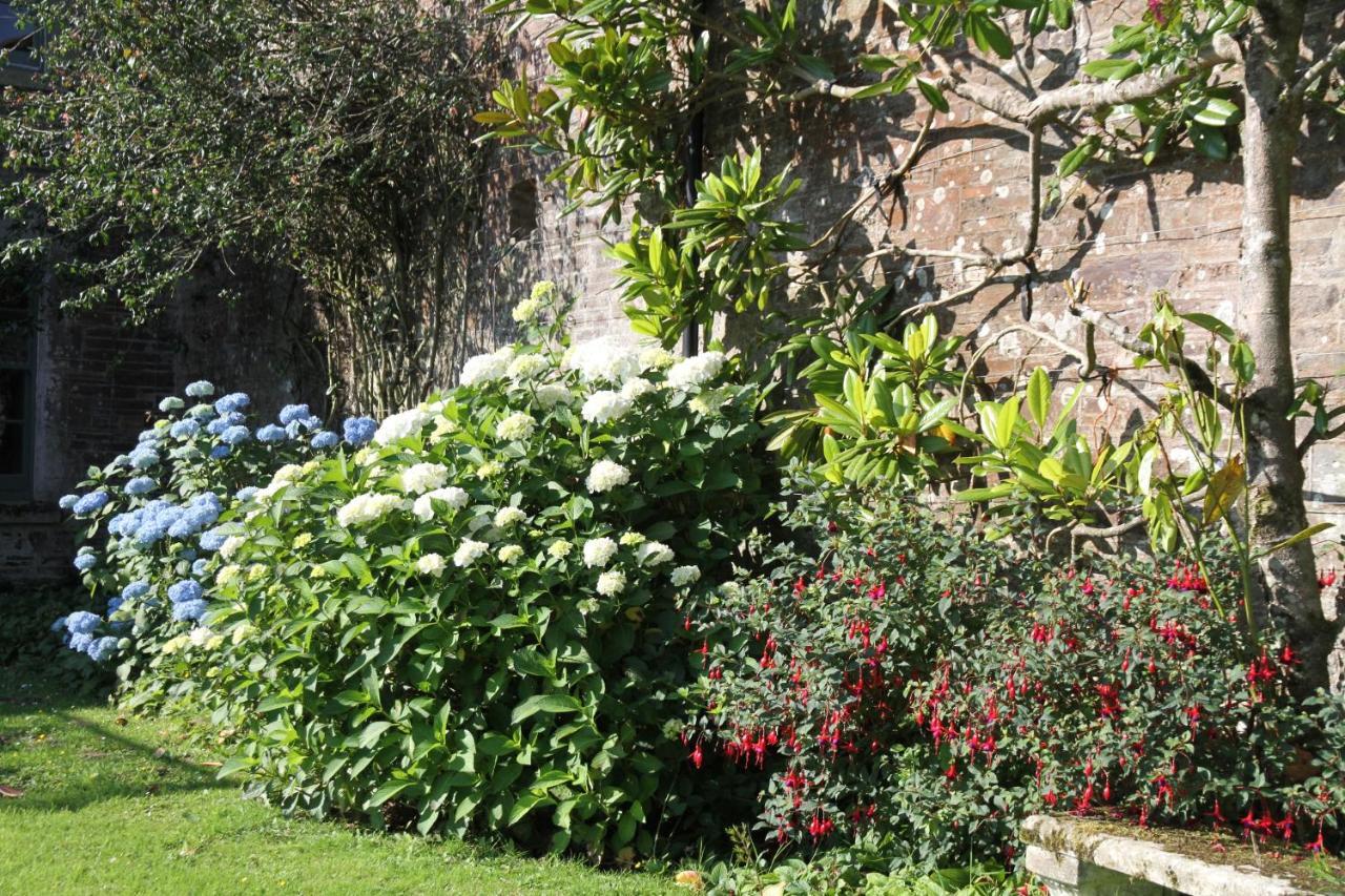 Devon Country Paradise Tavistock  Exterior foto