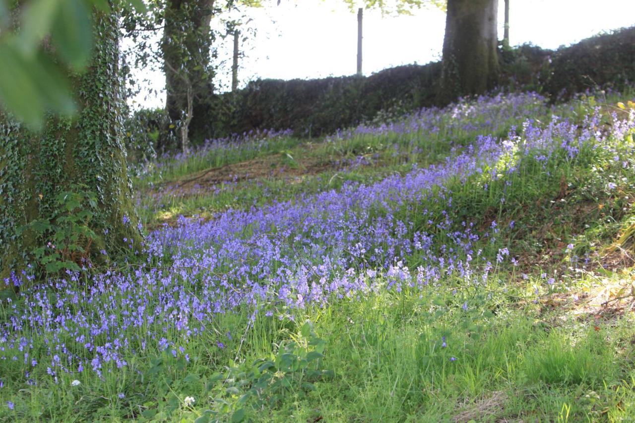 Devon Country Paradise Tavistock  Exterior foto